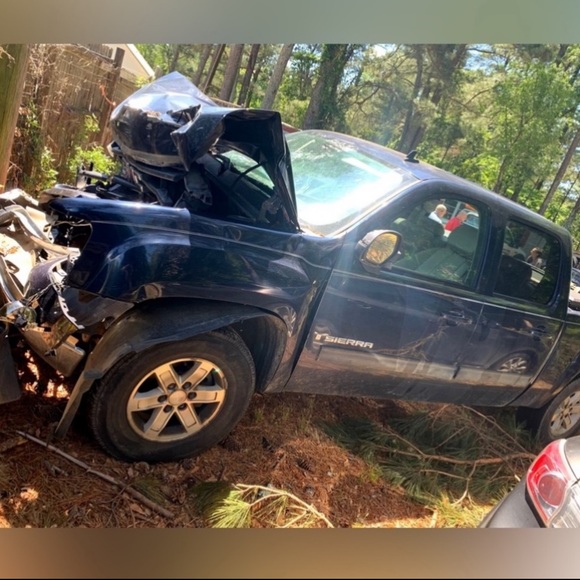 Meet your Posher, Lily - Picture 12 of 15